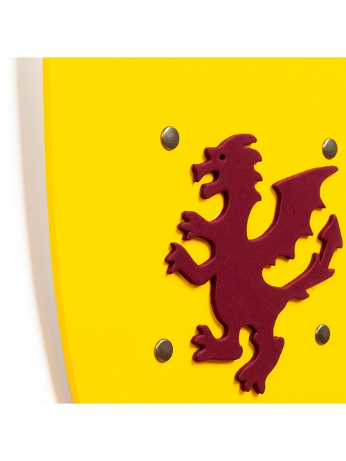 Wooden Shield
